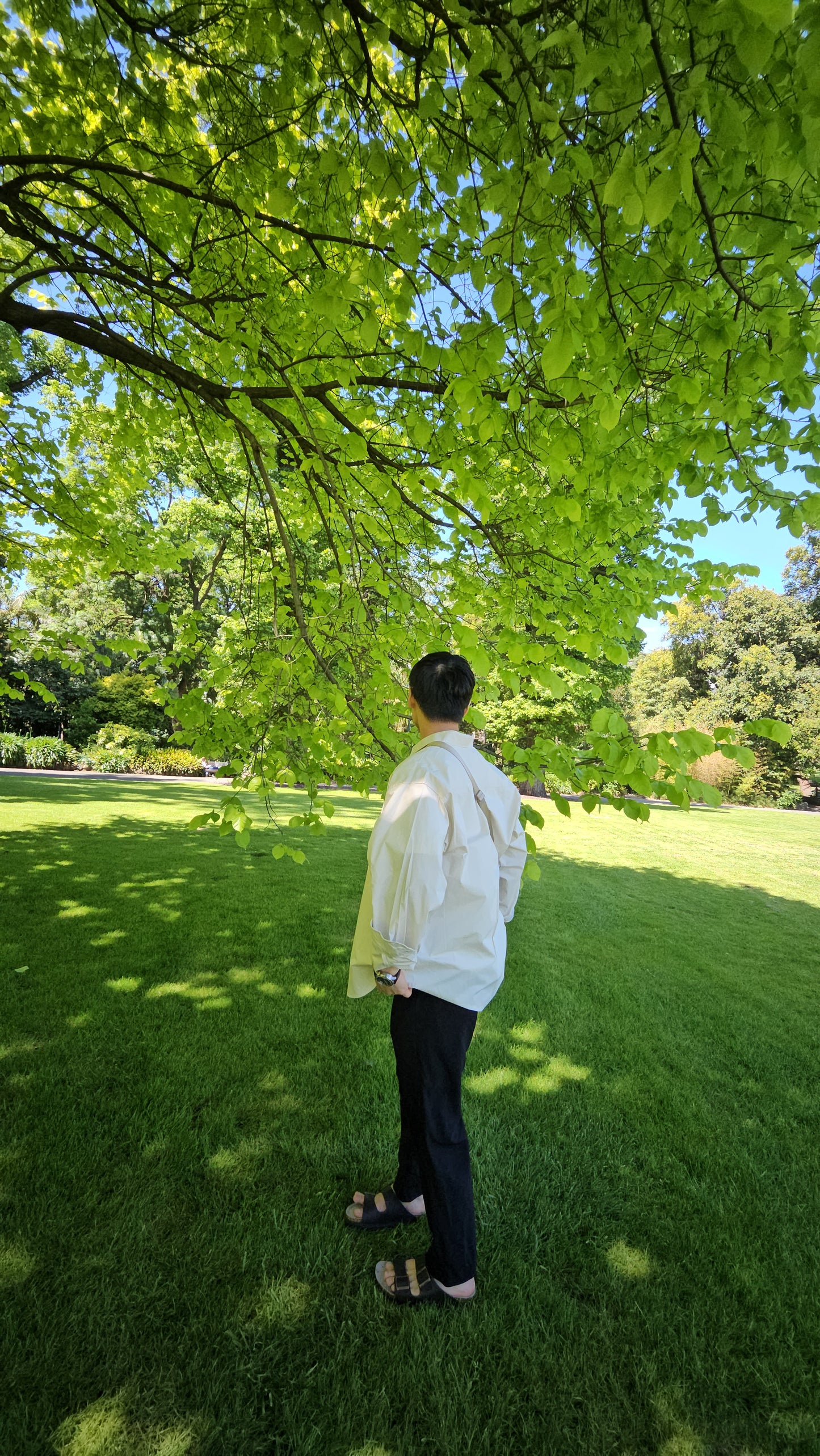 EasyBreeze Comfort Shirt