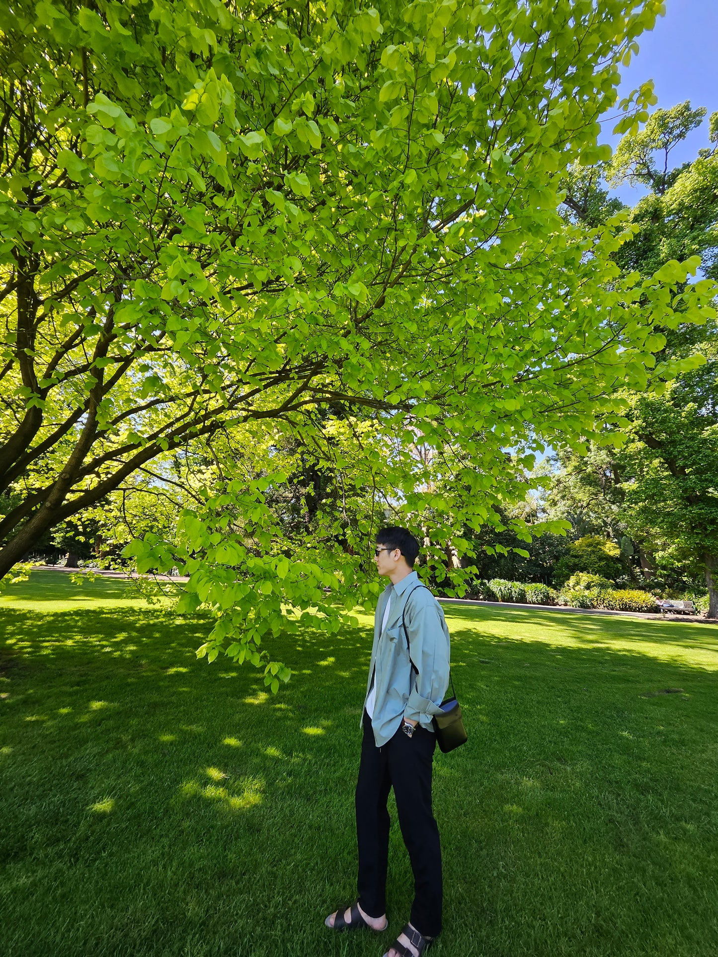 EasyBreeze Comfort Shirt